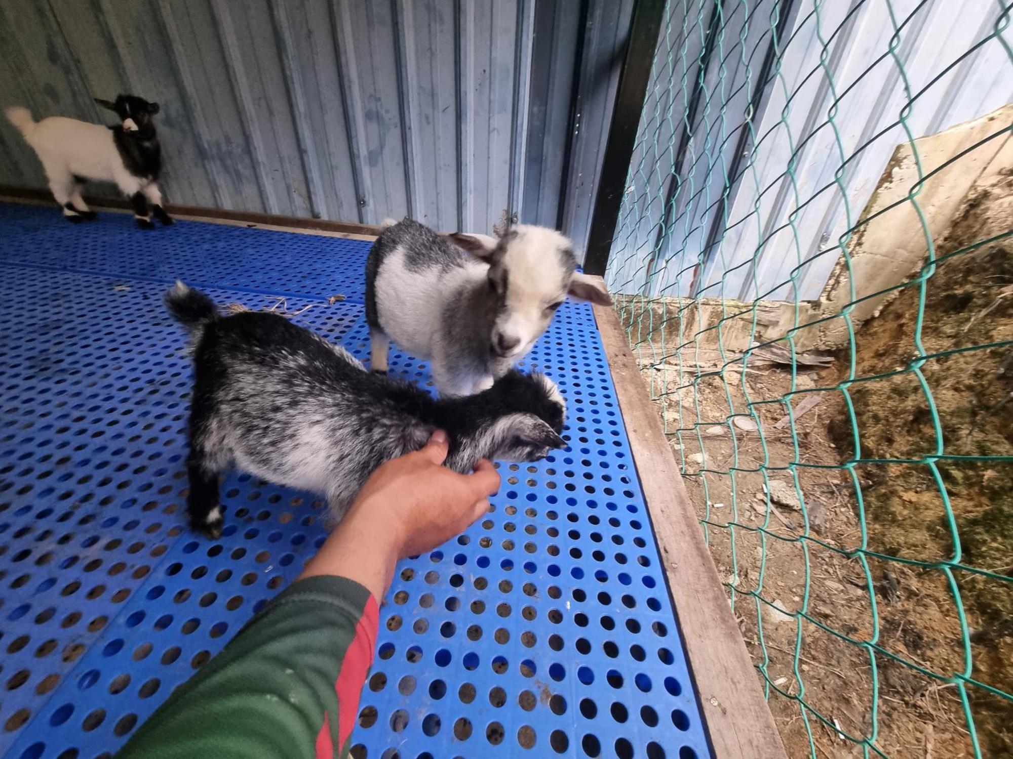 Tamu Eco Lenggeng酒店 外观 照片